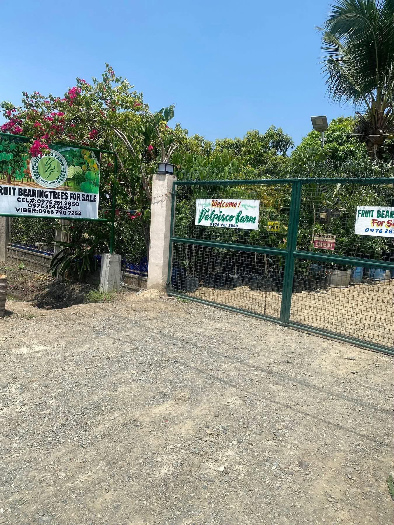 Farm entrance gate