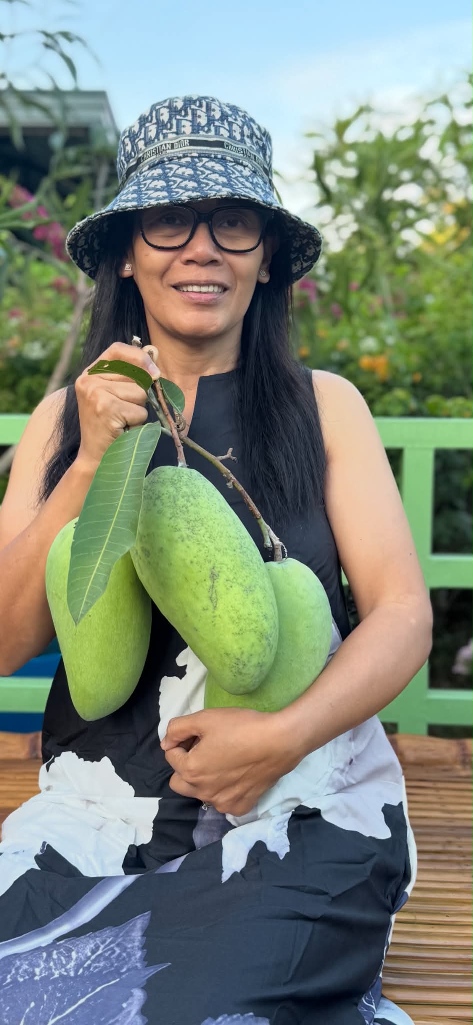 Grafted mango seedlings ready to plant
