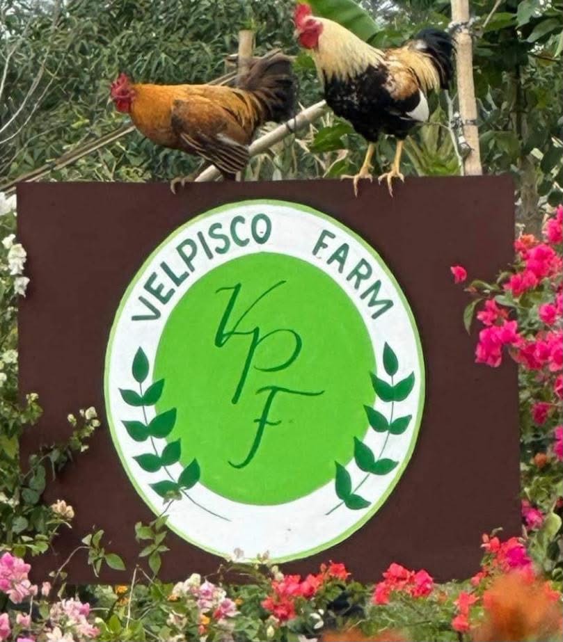 Hand-painted VelPisco Farm sign with roosters